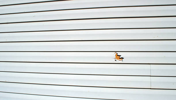 Best Residential Vinyl Siding Installation  in Quitman, MS