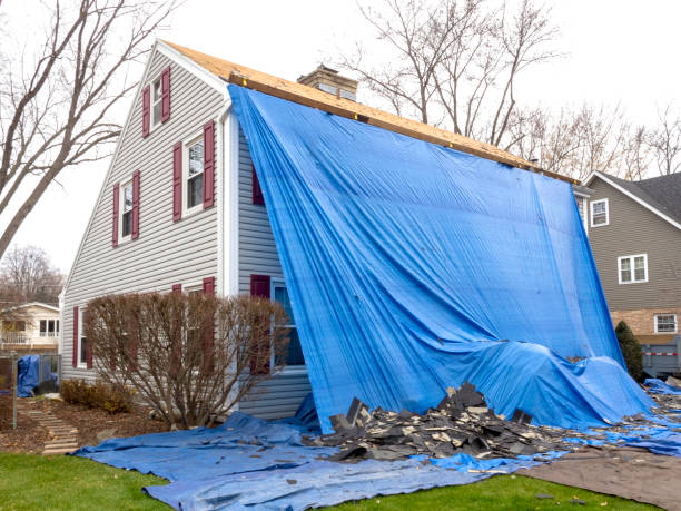 Best Siding Painting and Refinishing  in Quitman, MS