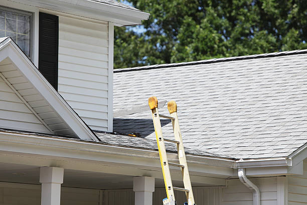 Best Residential Vinyl Siding Installation  in Quitman, MS
